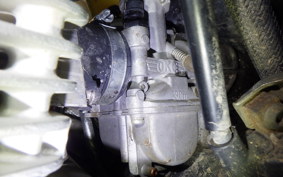 YAMAHA TRICKER DG10J