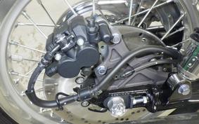 KAWASAKI W800 2024 EJ800E