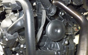BMW F900XR 2025