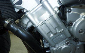 YAMAHA FZ1 FAZER 2009 RN21J