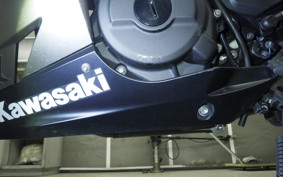 KAWASAKI NINJA 400 2024 EX400G