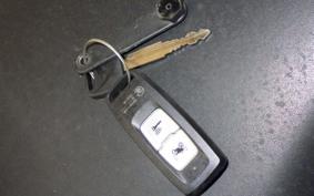 HONDA FORZA 250 MF17