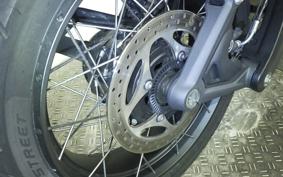 TRIUMPH TIGER 1200 RALLY 2024