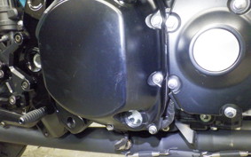 KAWASAKI Z900RS 2020 ZR900C