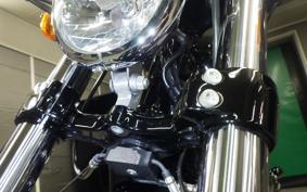 HARLEY XL1200XS 2020