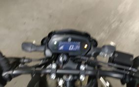 YAMAHA FZ25 RG69