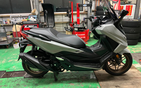 HONDA  FORZA 250 MF17