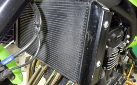 KAWASAKI Z900RS CAFE 2019