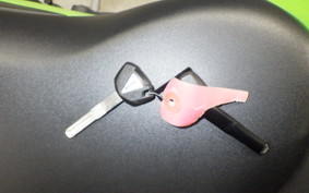 KAWASAKI ZX-25R-2SE 2005 ZX250H