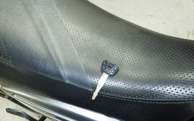 YAMAHA TRICKER DG10J