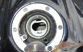 KAWASAKI NINJA 250 EX250L