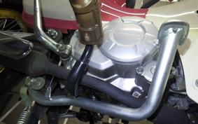 HONDA C50 SUPER CUB 2009 AA09