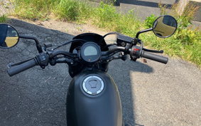 HONDA  REBEL 250 ABS MC49