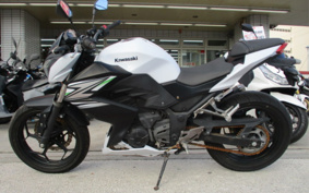 KAWASAKI Z250 ER250C