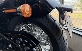 HARLEY FXST1340-1450 2020 BVJ