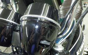 KAWASAKI Z1000 2026 Z1F
