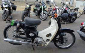 HONDA SUPER CUB50 C50