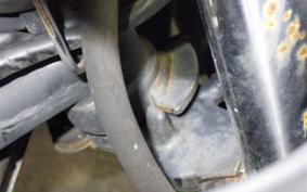 KAWASAKI NINJA 250 EX250L