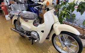 HONDA  SUPER CUB 110 LITE JA76