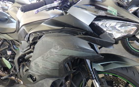 KAWASAKI ZX-4RR 2023