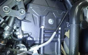 YAMAHA MT-25 A RG74J
