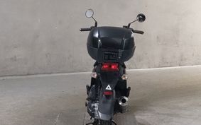 HONDA ZOOMER-X JF52
