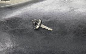 KAWASAKI ELIMINATOR 250 V VN250A