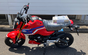 HONDA GROM JC92