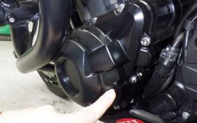 KAWASAKI Z1000 Gen.5 2021 ZXT00W