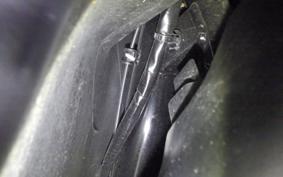 HONDA TACT Basket 2024 AF79