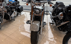 HARLEY FLFBS 2024 YGK