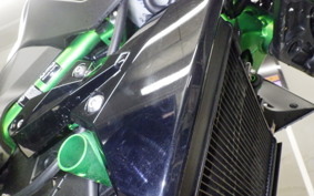 KAWASAKI Z250 Gen.2 2024 EX250Y