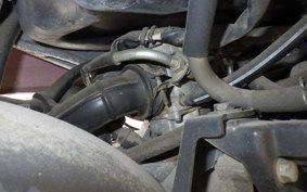 HONDA CREA SCOOPY AF55