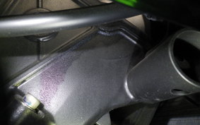 KAWASAKI NINJA 400 2024 EX400L