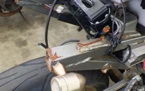 YAMAHA FZR250 2KR