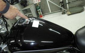 YAMAHA VIRAGO 250 3DM