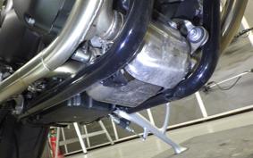 TRIUMPH SPEED TWIN 2024
