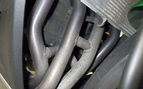 KAWASAKI NINJA 1000 SX 2023 ZXT02K