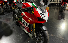 DUCATI  DUCATI PANIGA-REV2 BAYLISS  2022 1H00