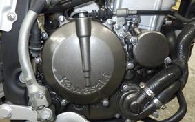 KAWASAKI KLX250D TRACKER 2018 LX250E