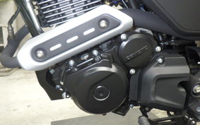 OTHER +CF PAPIO XO-2 2019