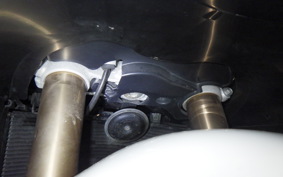 SUZUKI HAYABUSA Gen.2 2010