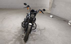 HARLEY XL1200NS 2019 LP3