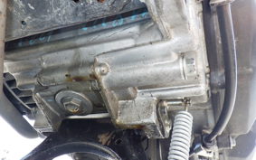 HONDA GIORNO 3 AF77