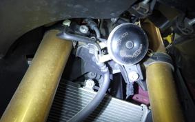 YAMAHA YZF-R25 RG43J