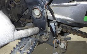 KAWASAKI KLX250 2024 LX250E