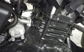 SUZUKI Vｽﾄﾛｰﾑ250