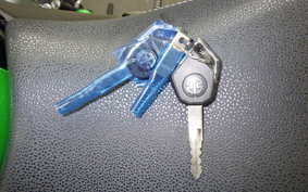 KAWASAKI ZH2 SE 2021