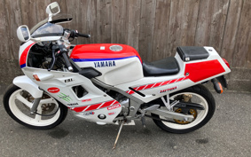 HONDA HAWK 11 2024 SC85