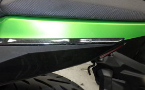 KAWASAKI Z250 Gen.2 2026 EX250Y